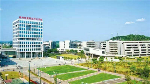 數(shù)說廣西：近5年來桂留學(xué)生數(shù)量年均增長20%