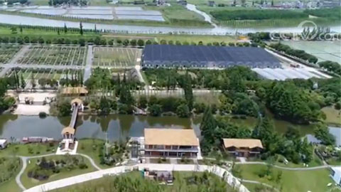 國家發(fā)展改革委：11億元支持長江經(jīng)濟(jì)帶農(nóng)業(yè)面源污染治理