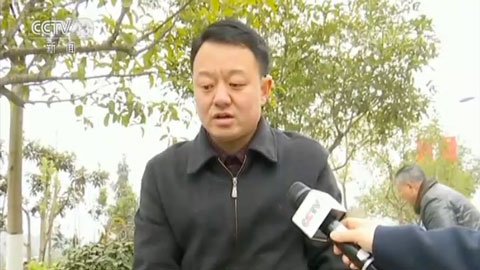 走進(jìn)長江經(jīng)濟(jì)帶丨美麗長江我的家