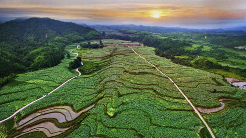 科技助力，農(nóng)旅結(jié)合 紅色老區(qū)建寧“綠色崛起”