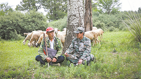 高清大圖｜塞北荒山，老兵播種“綠色夢”