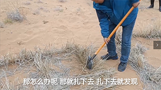 【母親河畔的中國】治理沙害，這個小格子起了大作用！