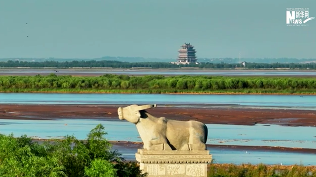 【江河奔騰看中國(guó)】云端鳥(niǎo)瞰黃河濕地 煙波浩渺野茫茫