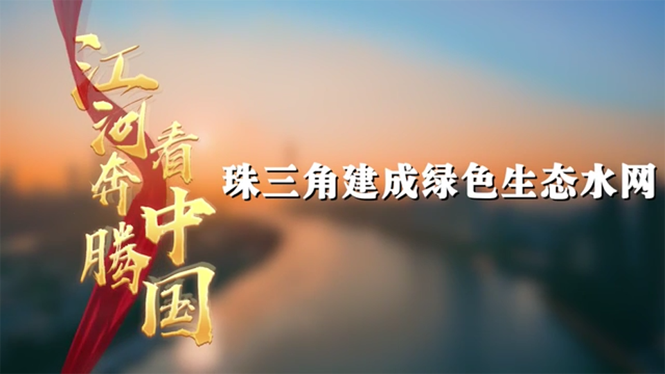 江河奔騰看中國(guó)·珠江新顏|珠三角建成綠色生態(tài)水網(wǎng)