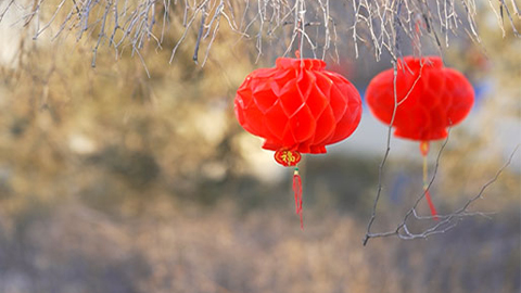 新春走軍營(yíng) | 爸媽，我在這里挺好的